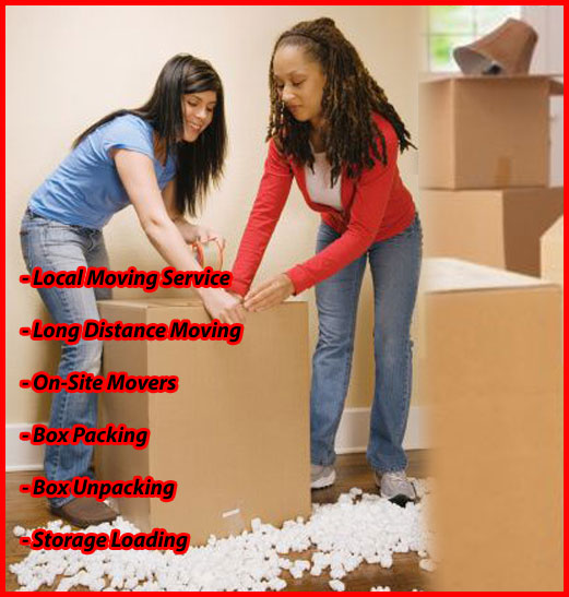 Packers And Movers Noida Sector 22